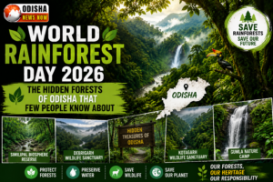 Hidden forests of Odisha revealed on World Rainforest Day 2026, showcasing nature, wildlife and untouched green landscapes.